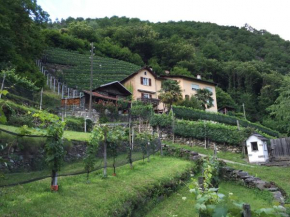 Casa immersa nel vigneto